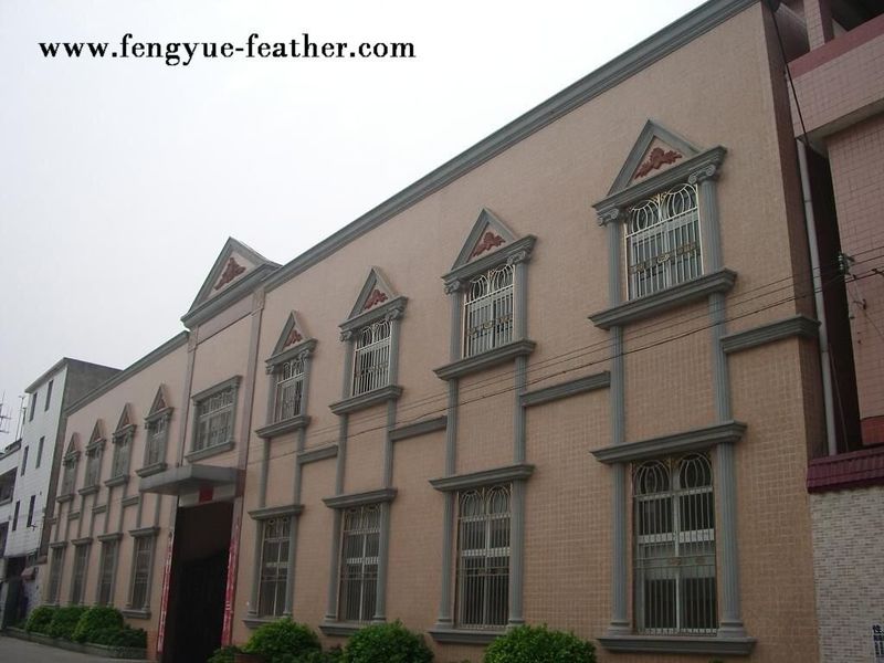 Guangdong Hongfa Import & Export Co., Ltd. productielijn van de fabrikant