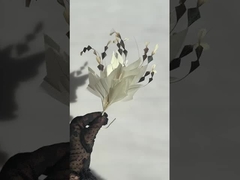 verzameling veerrijders